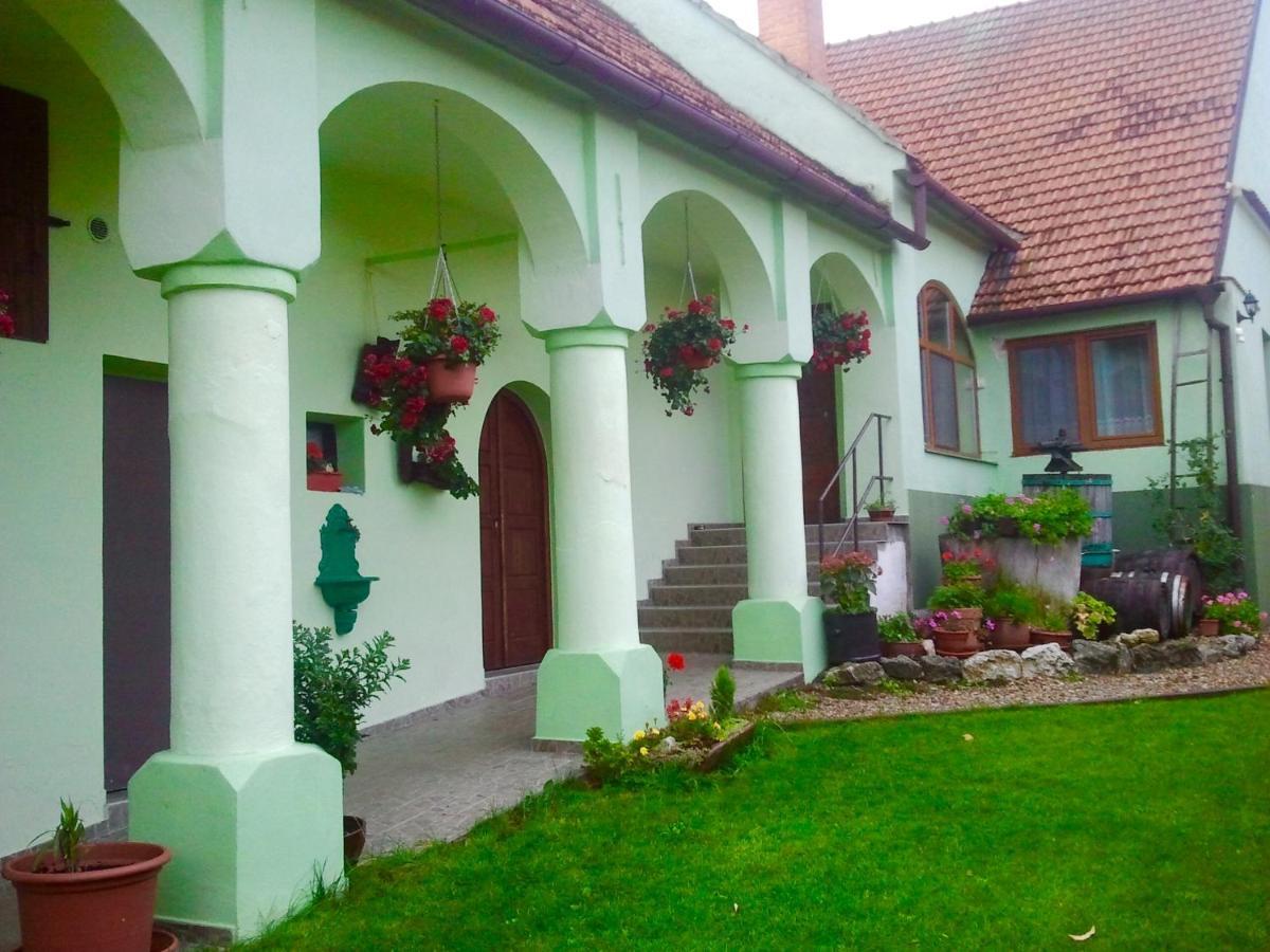 Hotel Na úpatí Pálavy Horni Vestonice Esterno foto