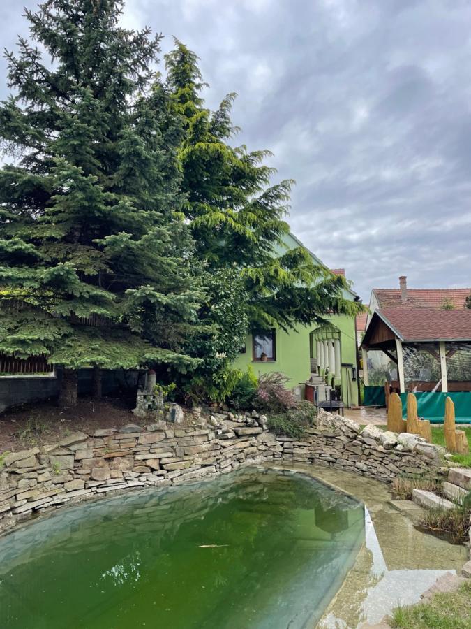Hotel Na úpatí Pálavy Horni Vestonice Esterno foto