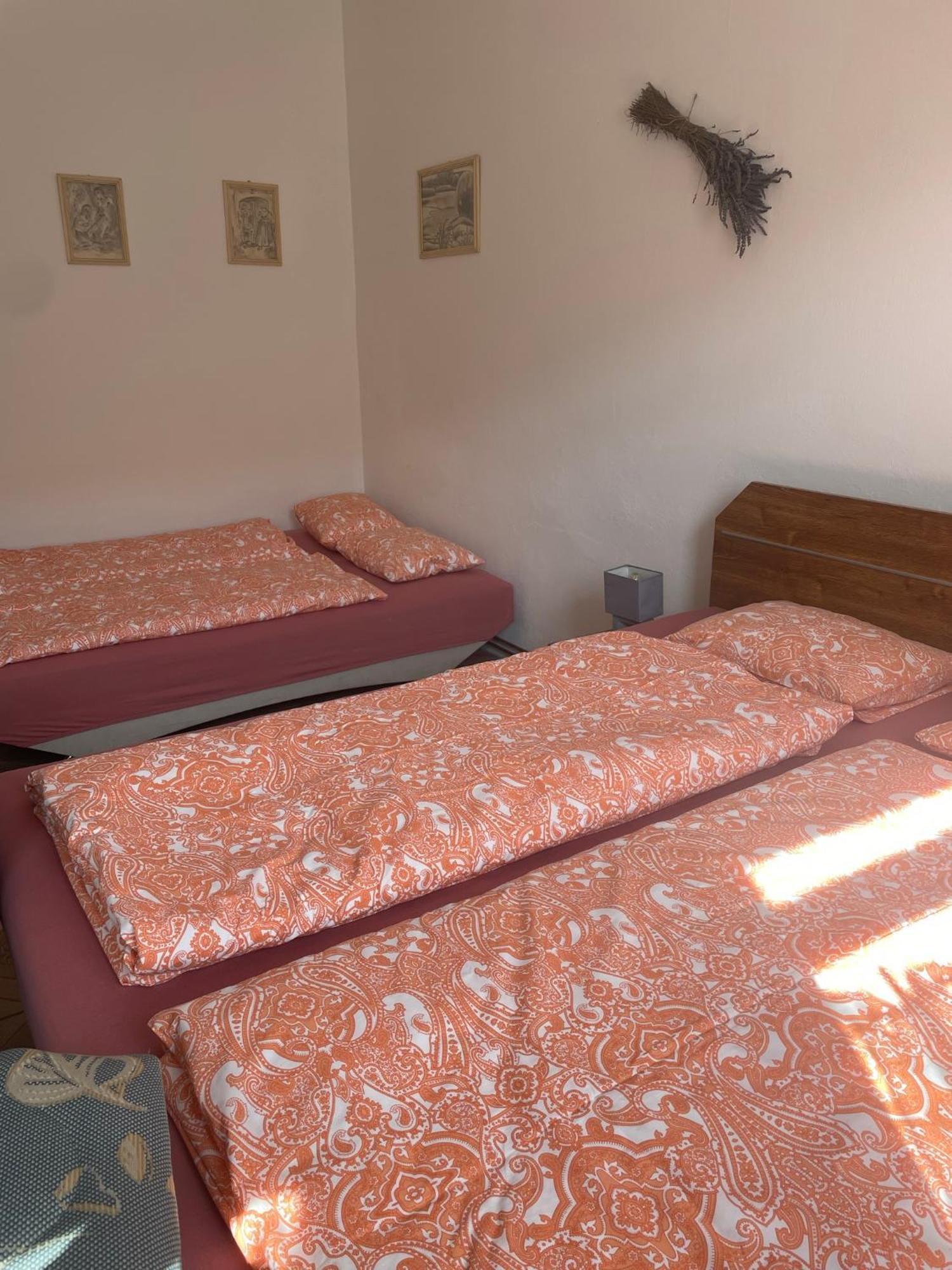 Hotel Na úpatí Pálavy Horni Vestonice Esterno foto